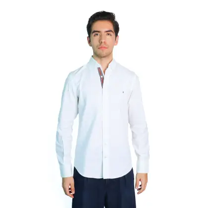 img-primary