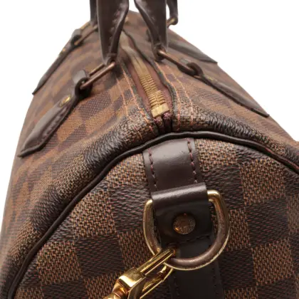 LOUIS VUITTON SPEEDY 30 DAMIER EBENE