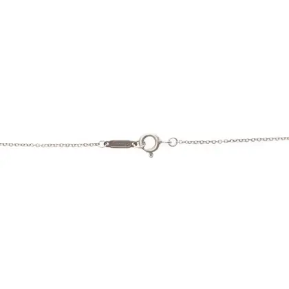 TIFFANY & CO 