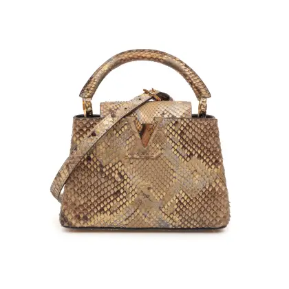 LOUIS VUITTON PYTHON CAPUCINE MINI