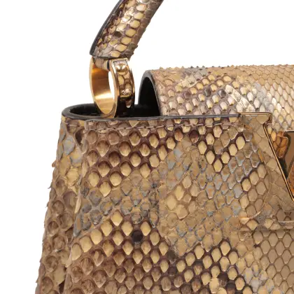 LOUIS VUITTON PYTHON CAPUCINE MINI