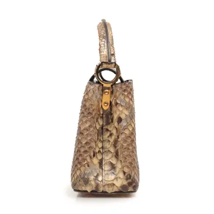 LOUIS VUITTON PYTHON CAPUCINE MINI