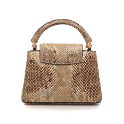LOUIS VUITTON PYTHON CAPUCINE MINI