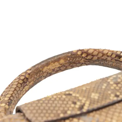 LOUIS VUITTON PYTHON CAPUCINE MINI